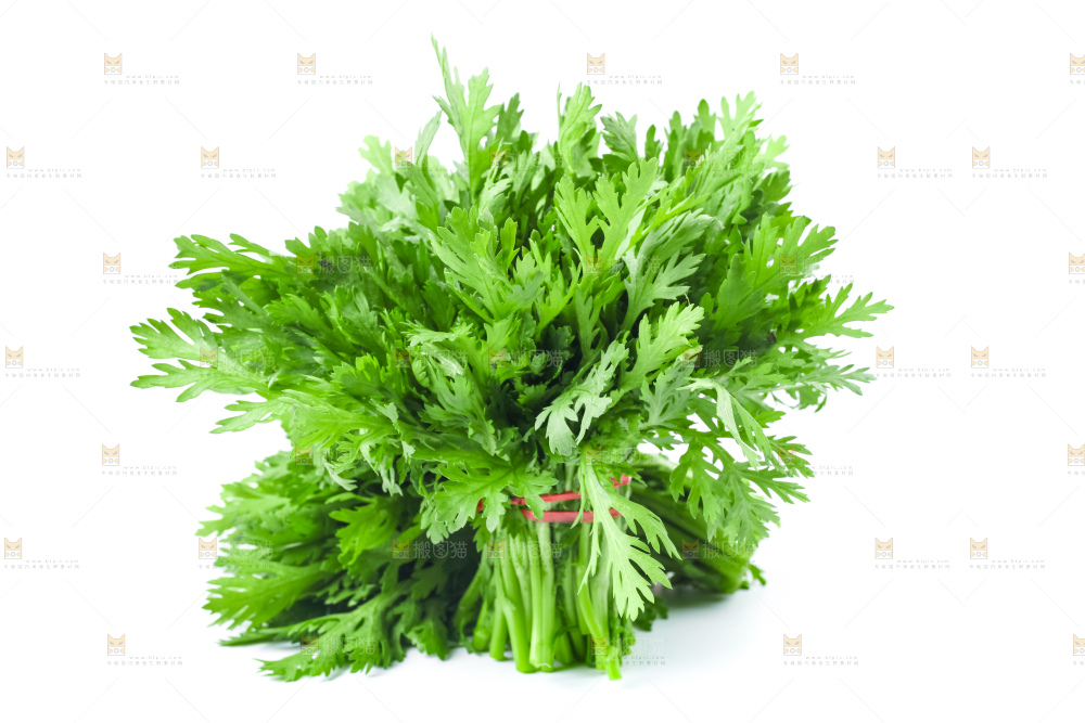 白底上的蓬蒿菜