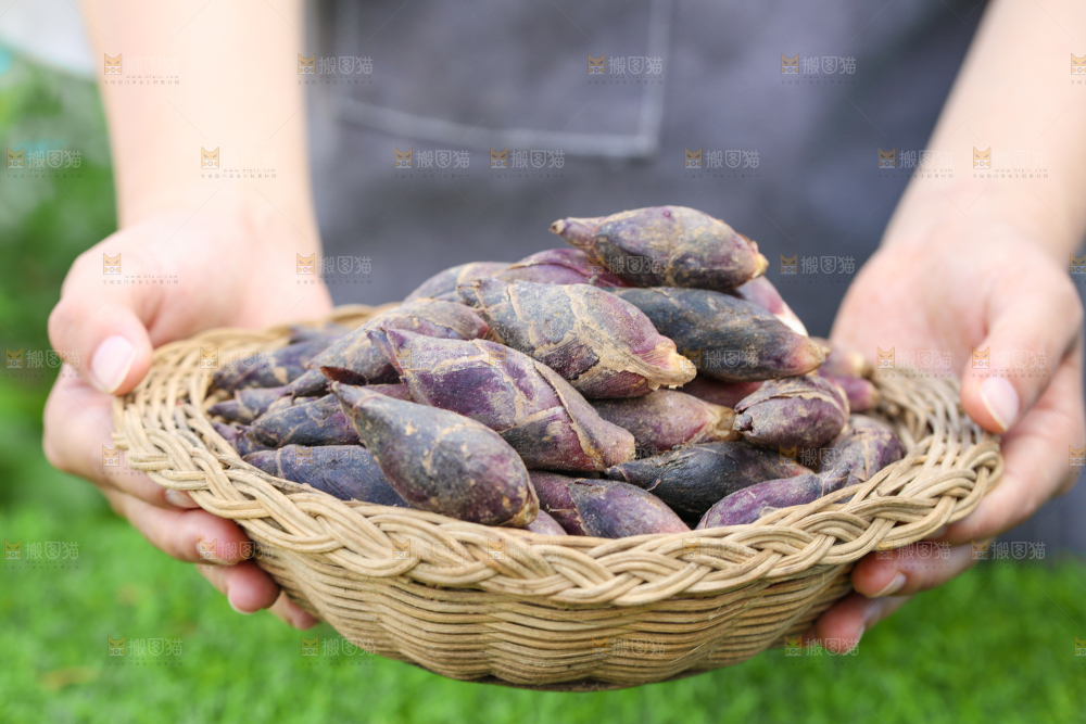 手里端着一篮洋火姜