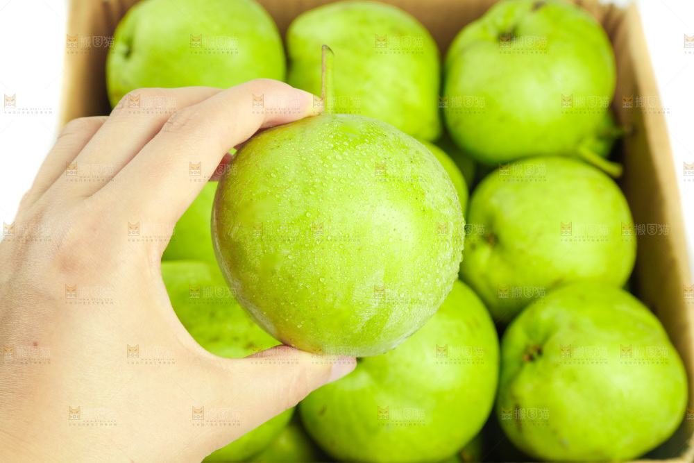 手里拿着青梨