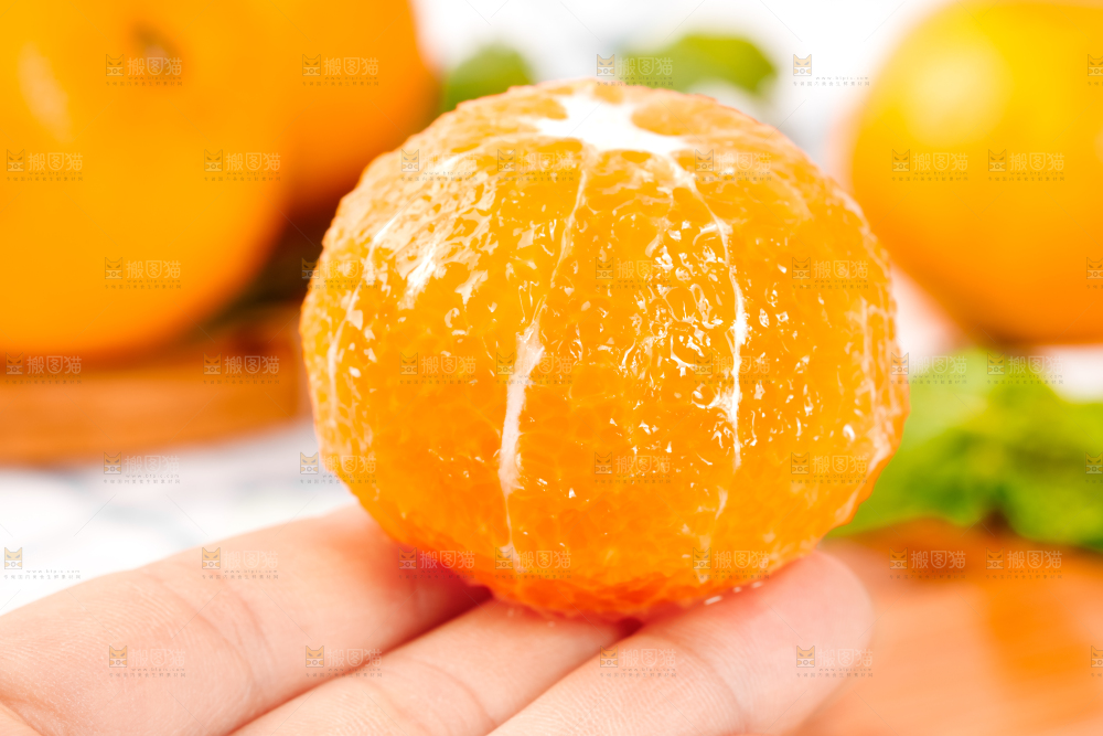 手里拿着新鲜沃柑