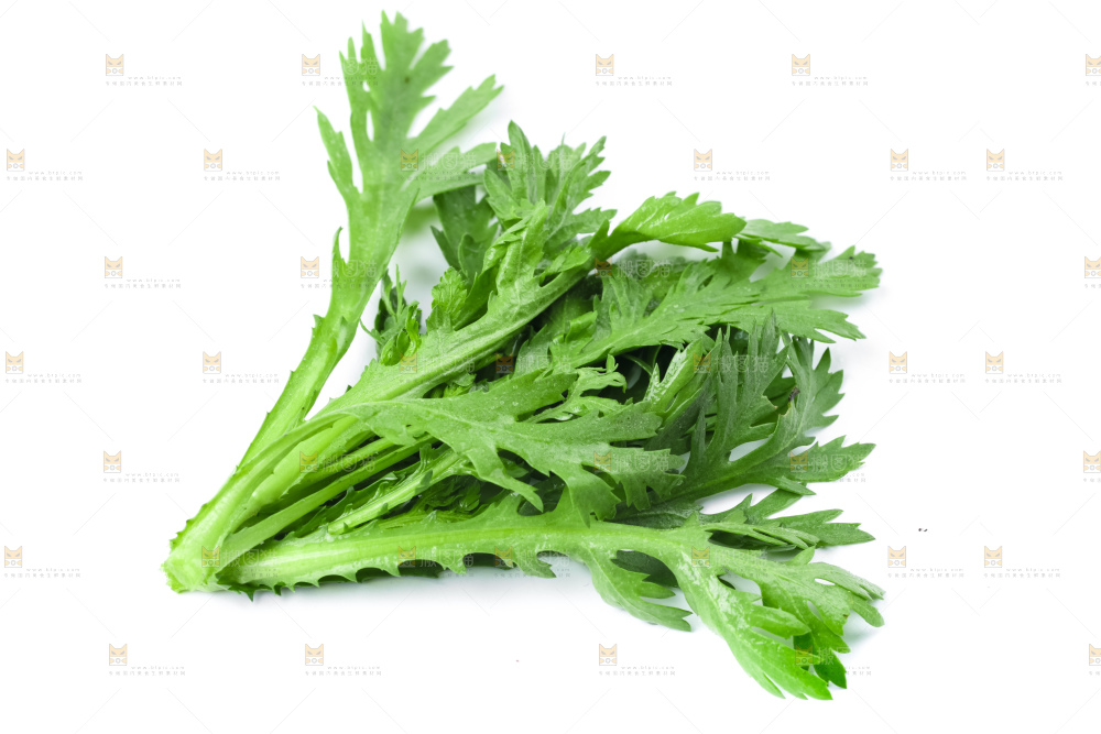 白底上的蓬蒿菜