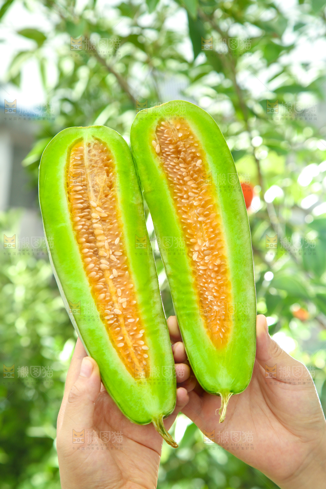 手里拿着脆甜蜜瓜