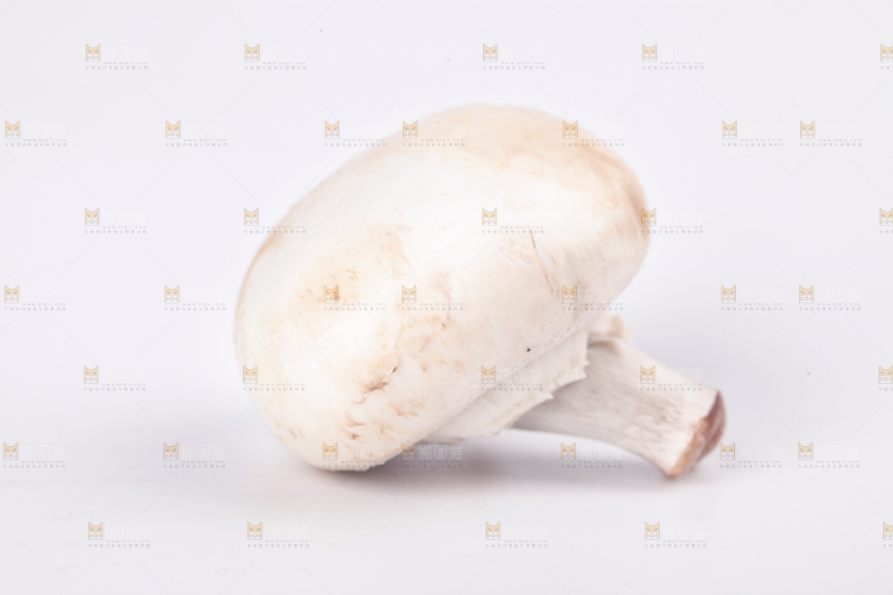 白底上摆放着口蘑