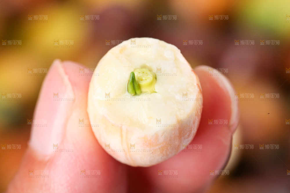 手里拿着莲子米