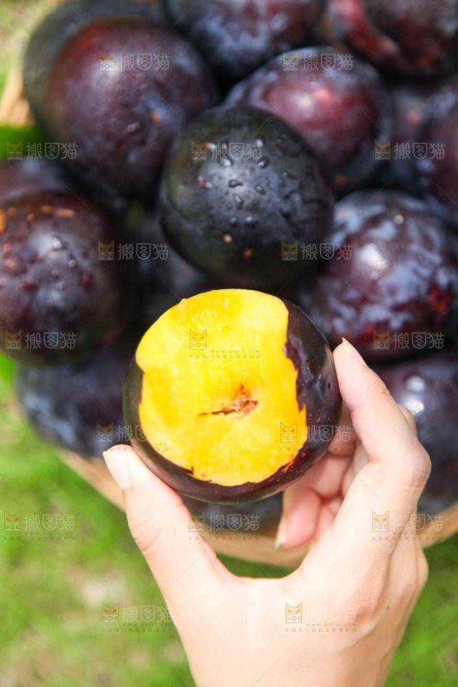 手里拿着黄肉黑布李