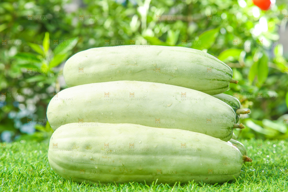 绿草地上放着羊角脆