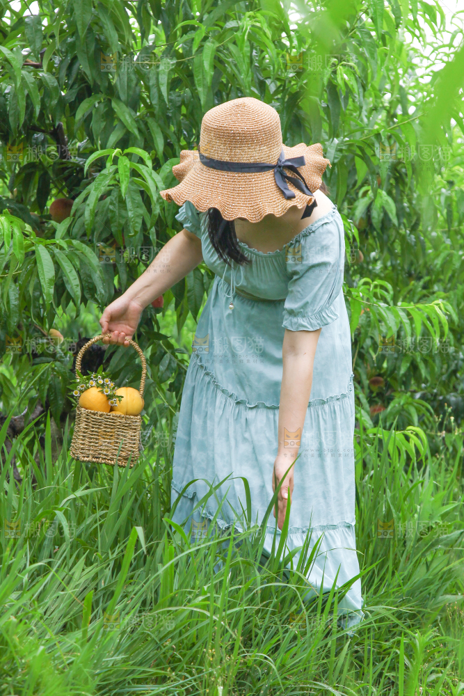 女孩手里提着一篮采摘的黄桃