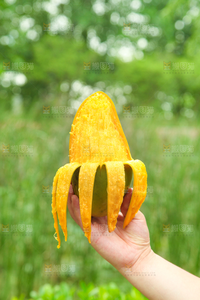 手里拿着正在剥皮的大青芒