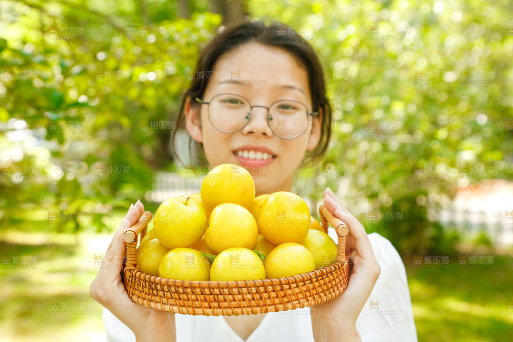 手里提着一篮黄金李子