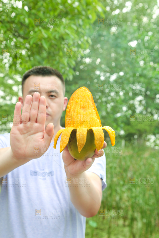 手里拿着大青芒