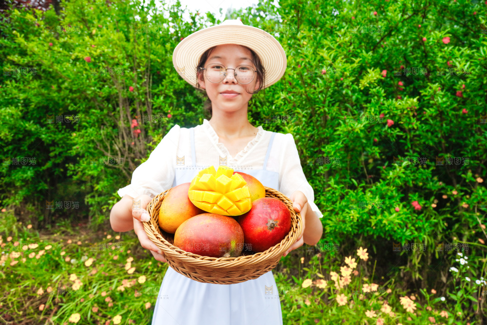 女孩手里端着一篮芒果