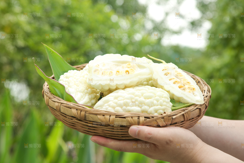 手里拿着一篮苹果苦瓜