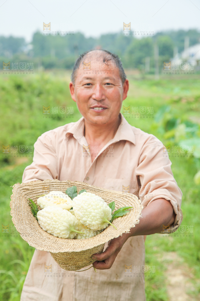 帽子里装着苹果苦瓜