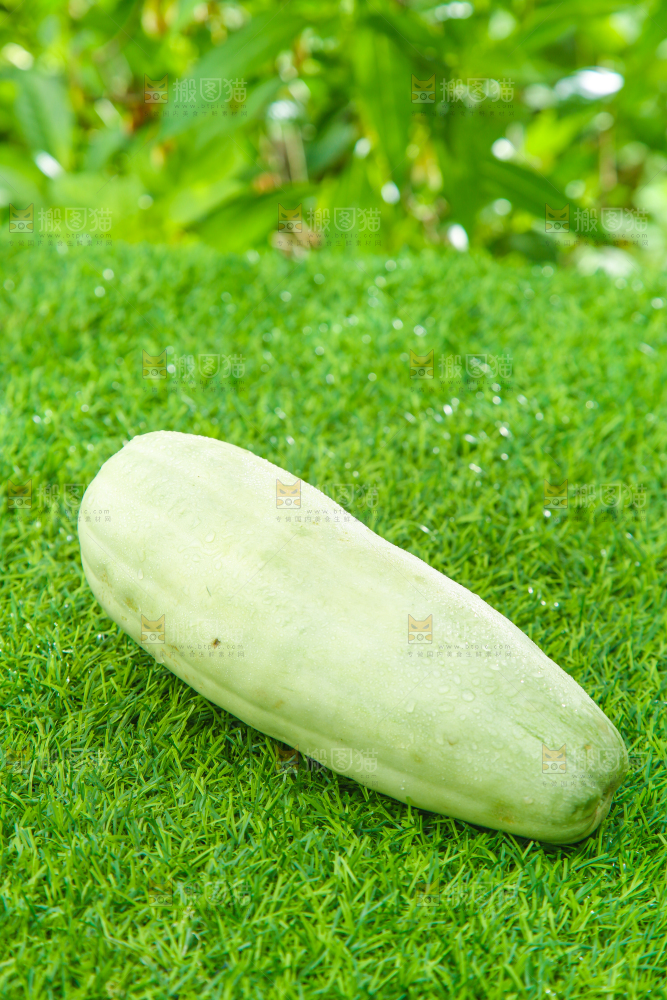 绿草地上放着羊角蜜