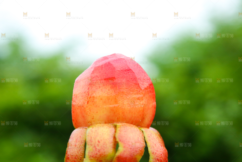 剥皮了的红心李