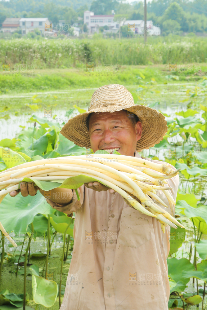 手里拿着刚采摘的藕带