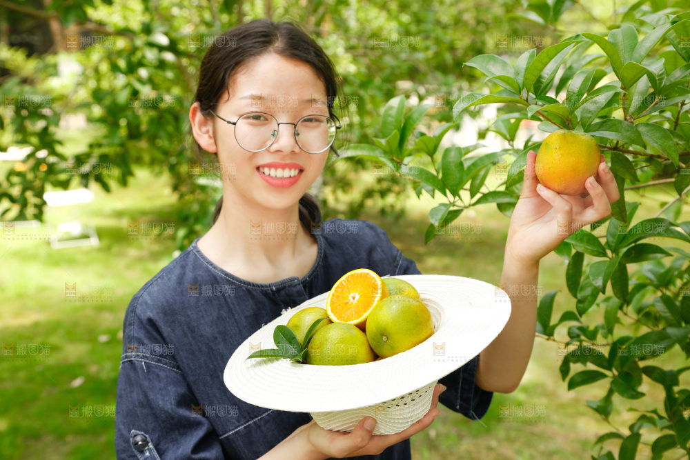 帽子里装着夏橙