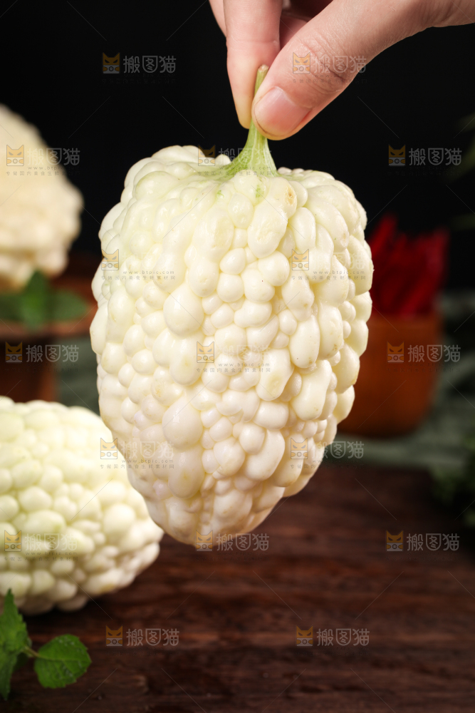 手里拿着白玉苦瓜