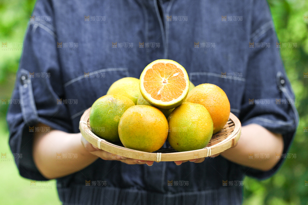 手里拿着一篮夏橙