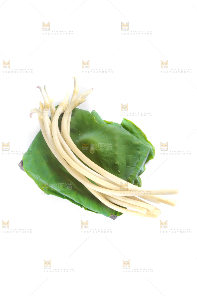 荷叶上放着新鲜藕带