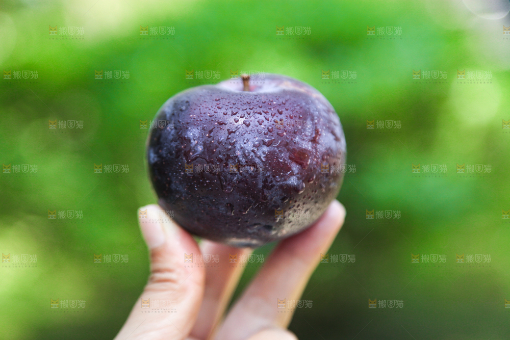 手里拿着黑布林