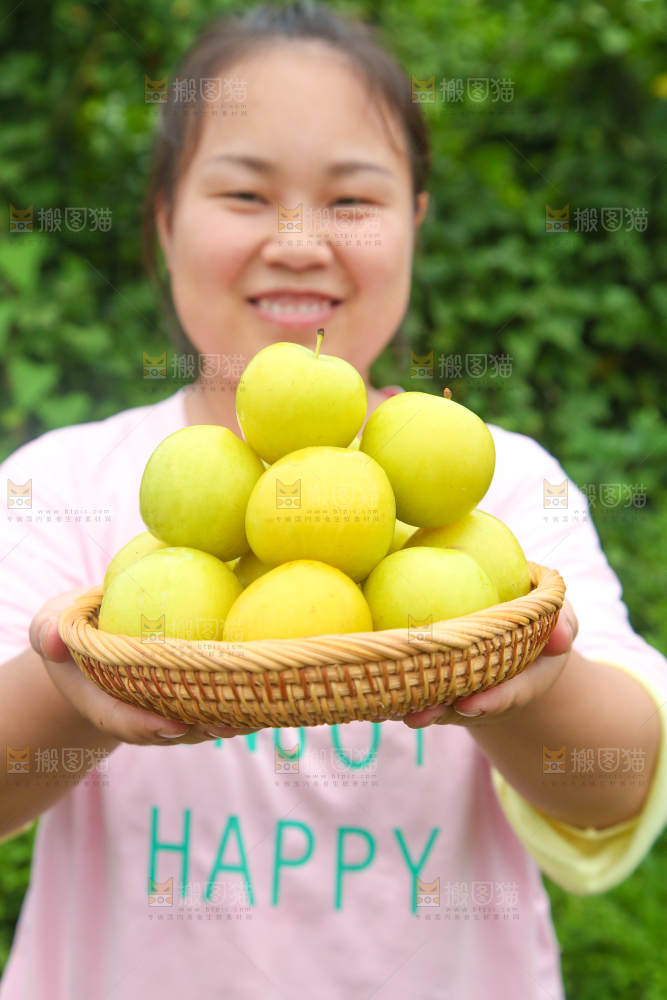 手里端着一篮九峰山黄金奈李