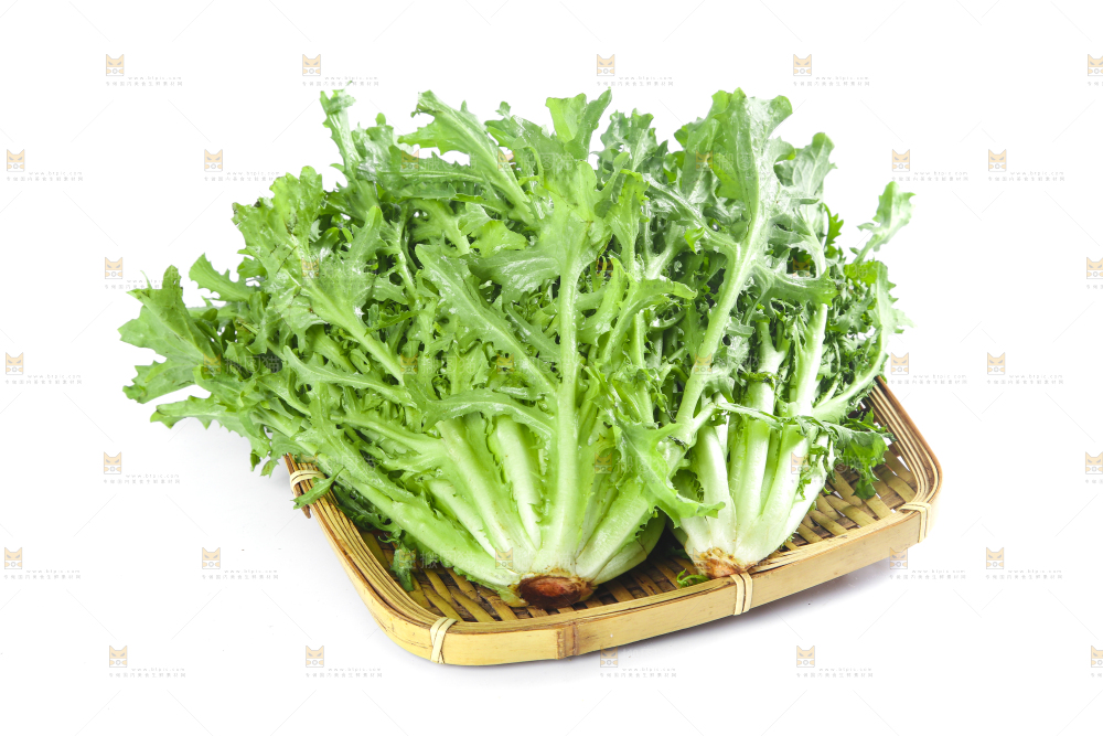 篮子里装着苦菊