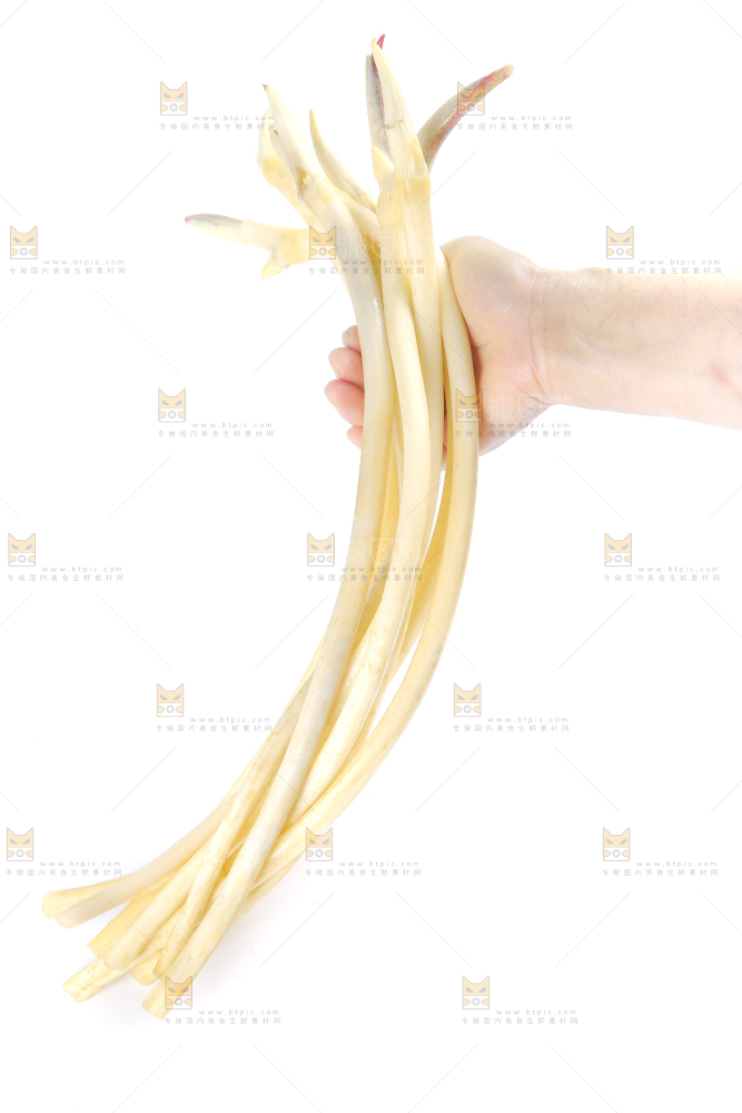 手里拿着一把新鲜藕带