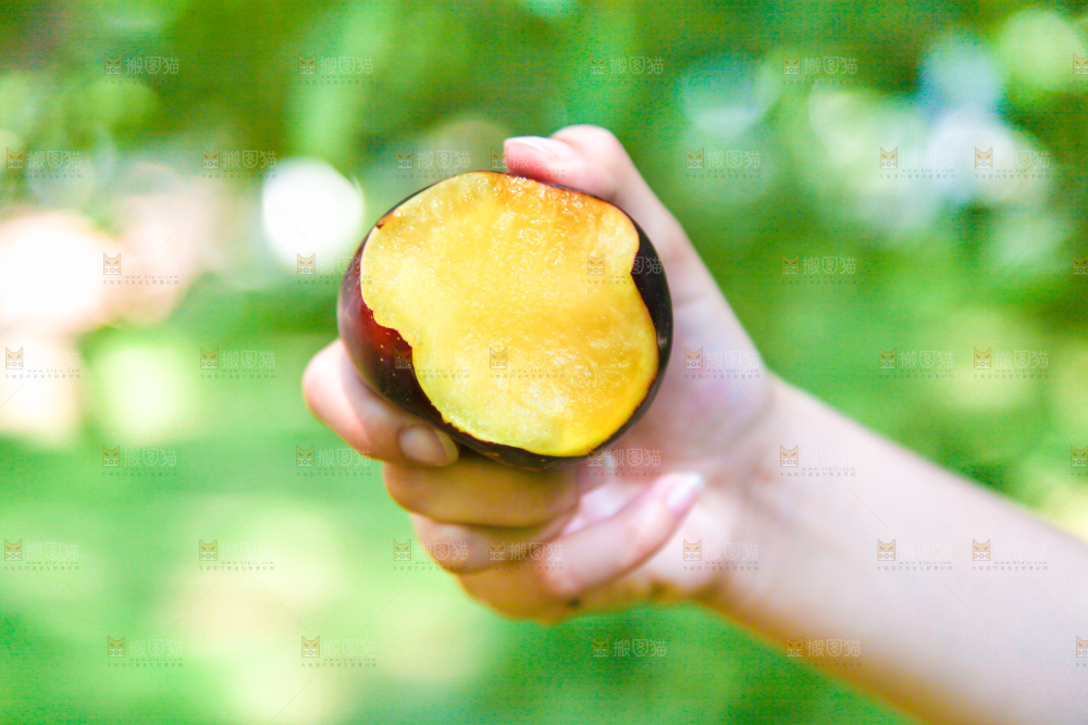 手里拿着黑布李
