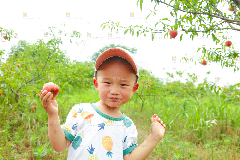 小男孩正在吃桃子