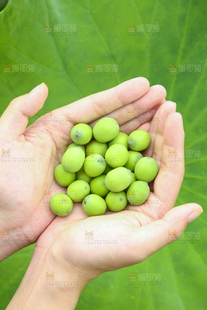 手里拿着莲子
