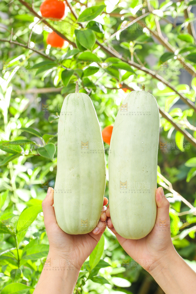 手里拿着羊角蜜