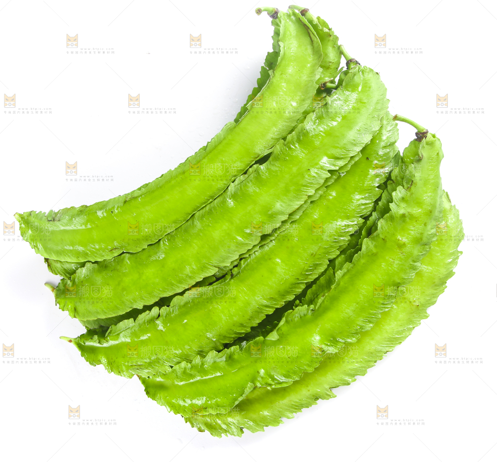 白底上摆放着四棱豆