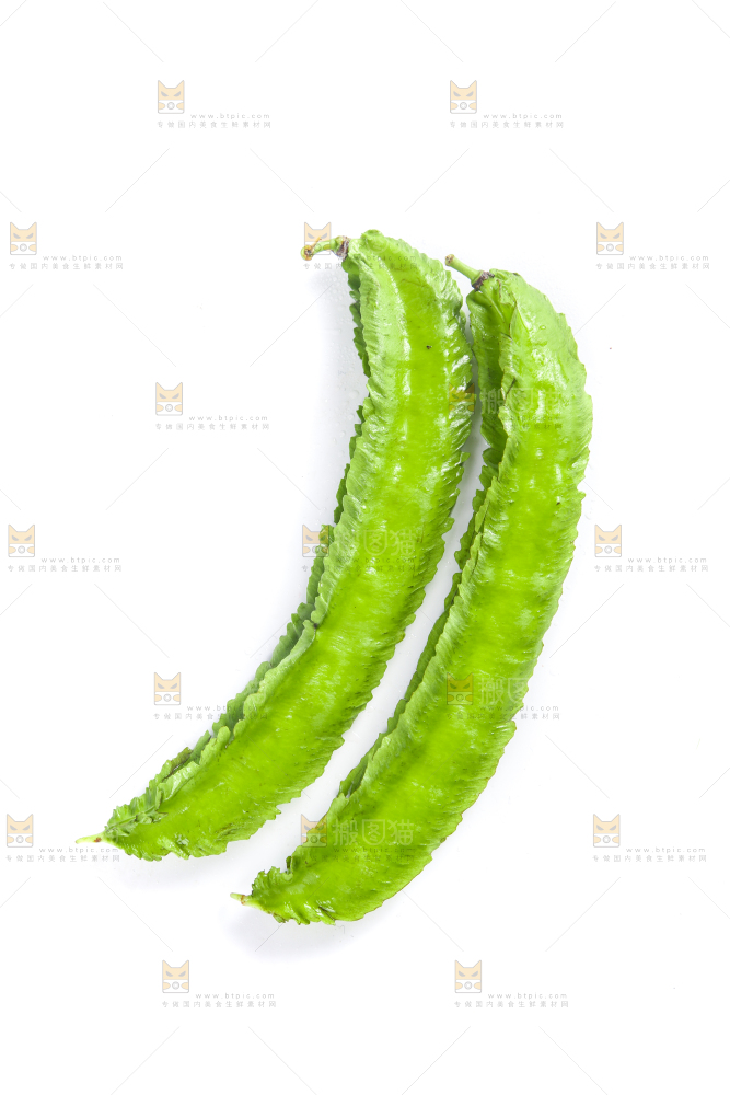 白底上摆放着四棱豆
