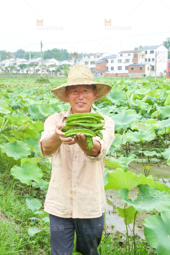 农民手里拿着四角豆