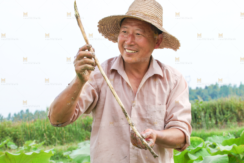 手里拿着藕带