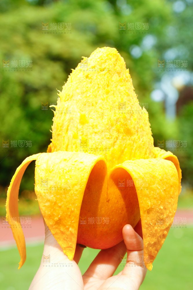 手里拿着芒果