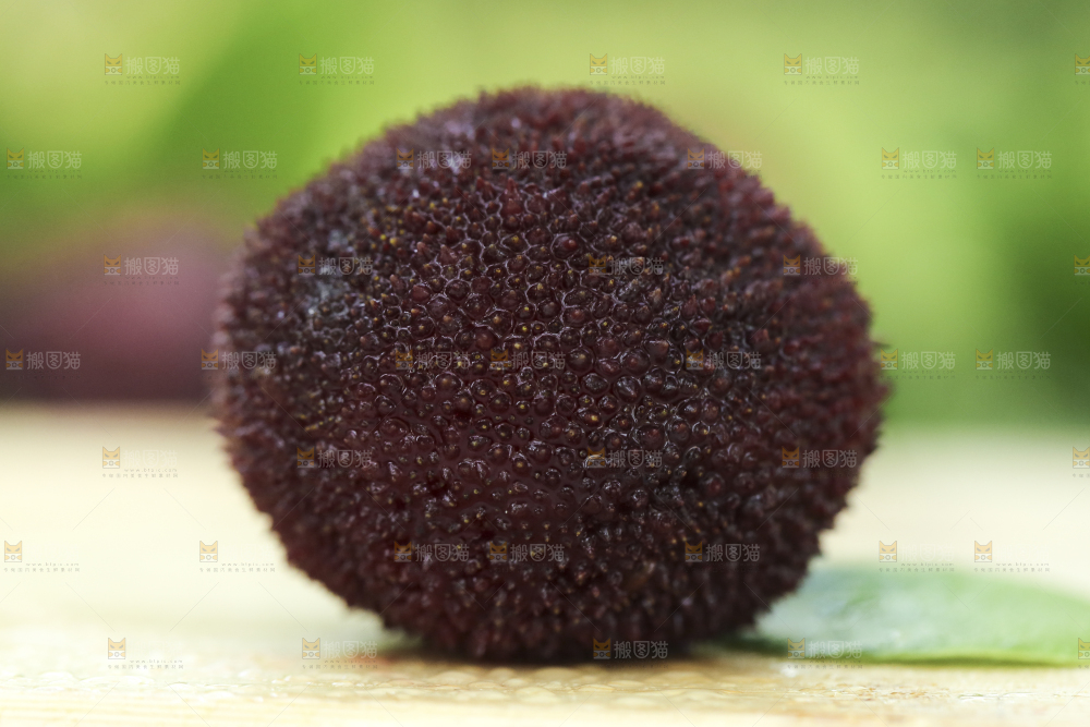 木底上摆放着圣生梅