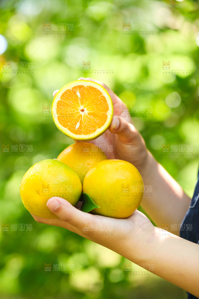 手里拿着秭归夏橙
