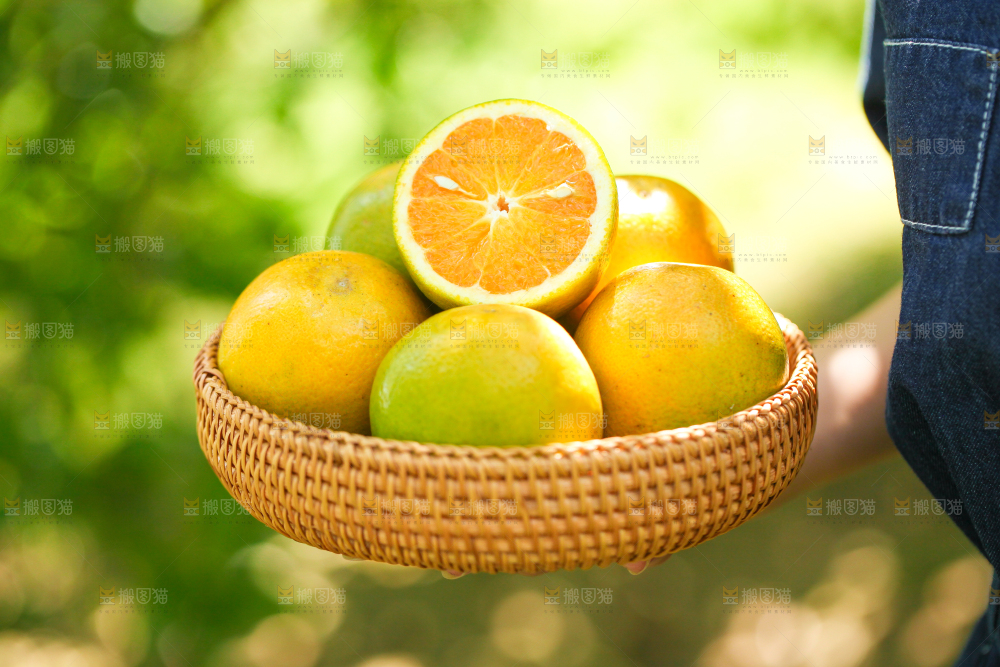 手里拿着一篮新鲜夏橙