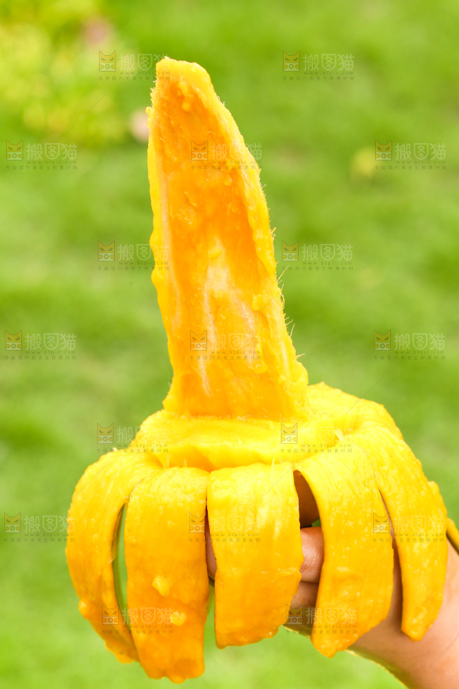 手里拿着青芒