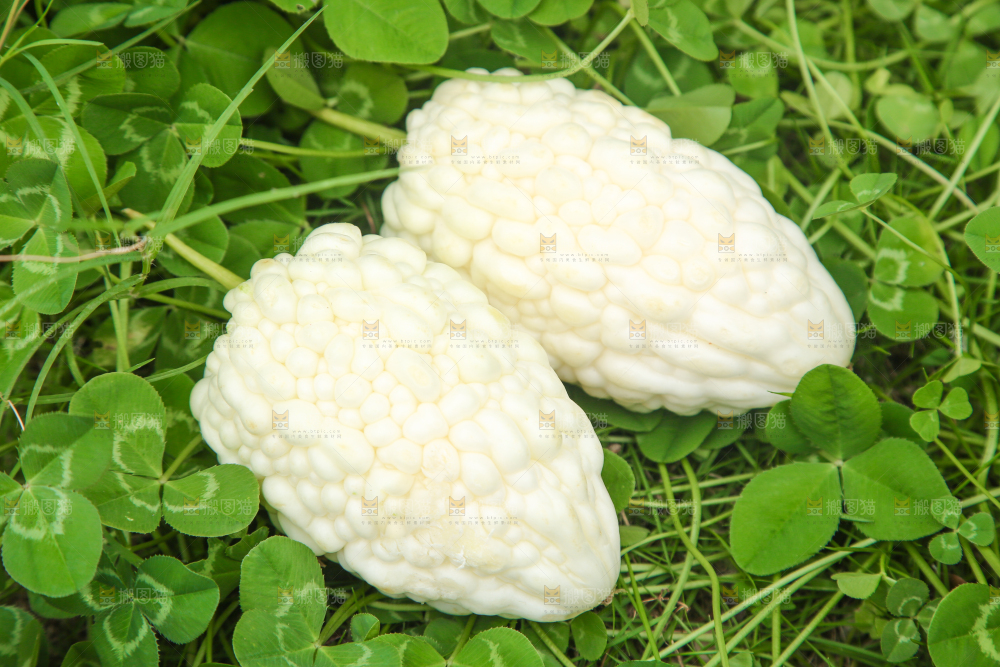 绿草地上摆放着苹果苦瓜