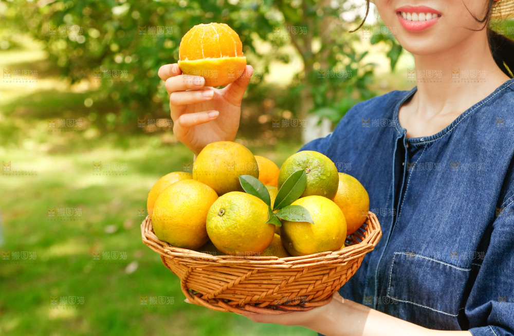 手里端着一篮秭归夏橙