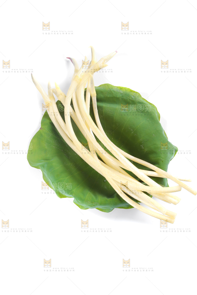荷叶上放着新鲜藕带