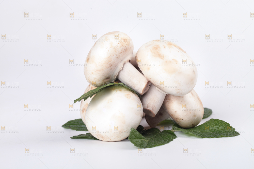 白底上摆放着白菇