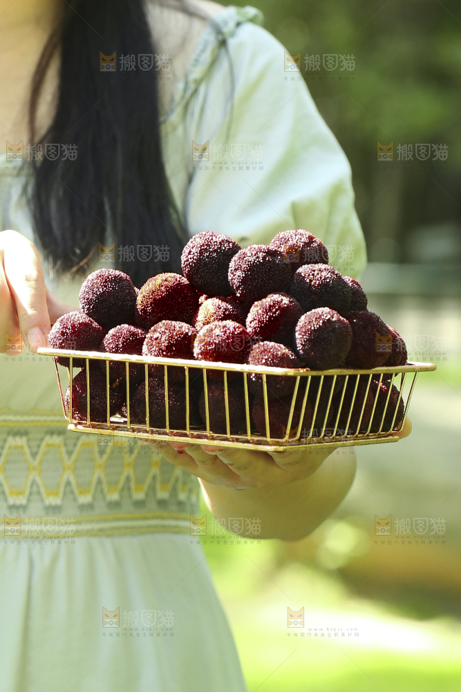 手里拿着一篮杨梅