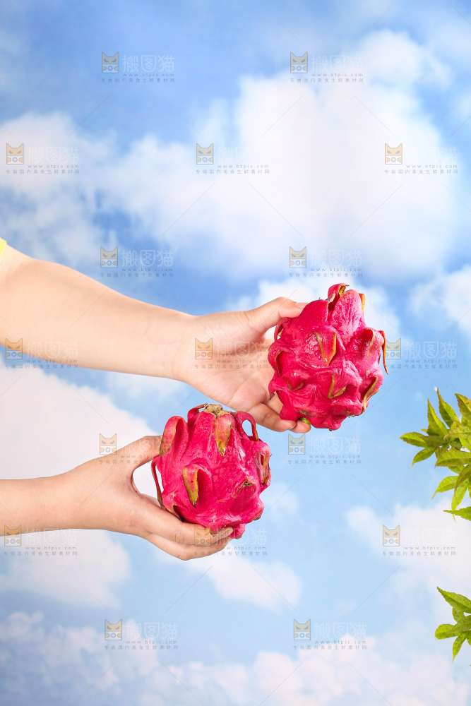 手里拿着火龙果