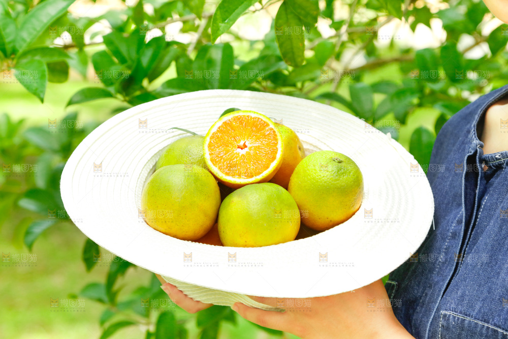 帽子里装着夏橙
