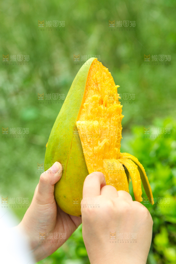 手里拿着正在剥皮的青芒