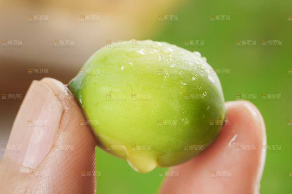 手里拿着莲子
